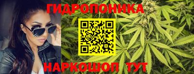 прущие грибы Краснознаменск