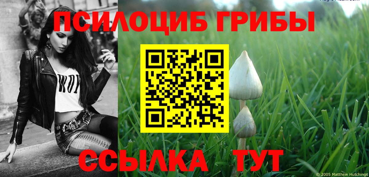 Зерноград  Галлюциногенные грибы мухоморы  Галлюциногенные грибы Psilocybine cubensis  Вход с VPN 