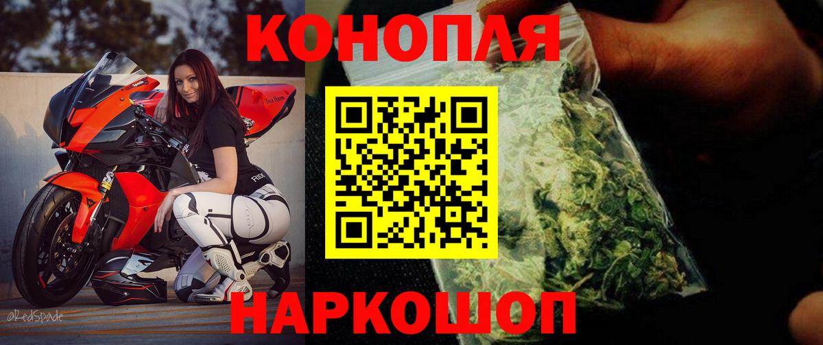 Конопля конопля Зерноград